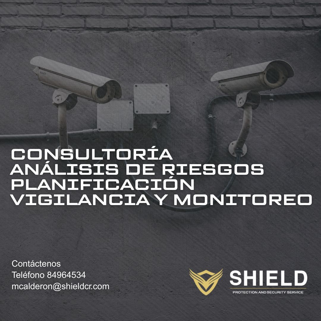 Flyer Consultoría y Análisis de Riesgos